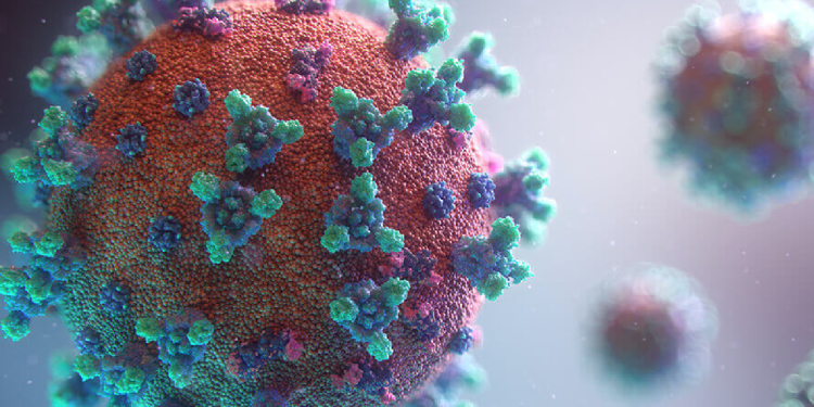 Dünya hala Covid-19'un kıskacında, Türkiye'de veri girişi yok