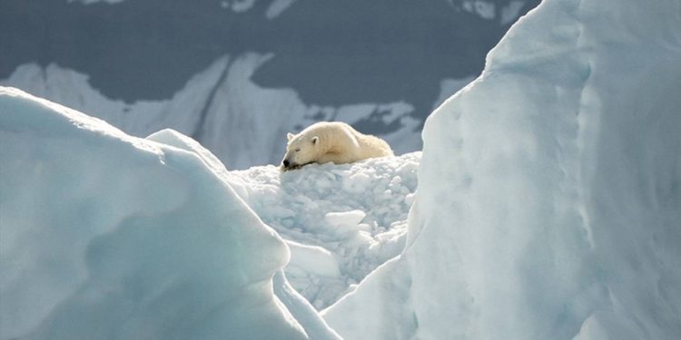 Guterres: Mevcut eğilimler gezegeni 3 derecelik sıcaklık artışına sürüklüyor