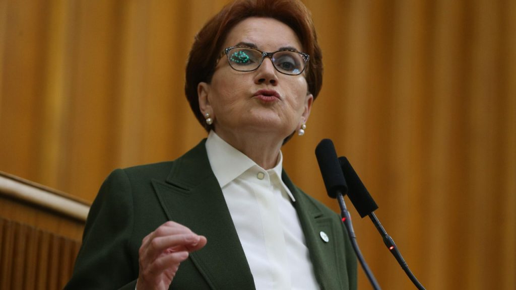 İddiaları gündemi sarsmıştı: Meral Akşener'den Ümit Dikbayır'ın açıklamalarına ilk yanıt