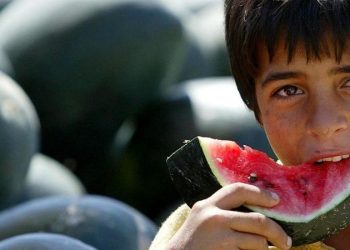 Karpuz nasıl Filistin’in sembolü oldu?