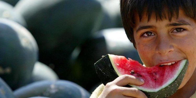 Karpuz nasıl Filistin’in sembolü oldu?