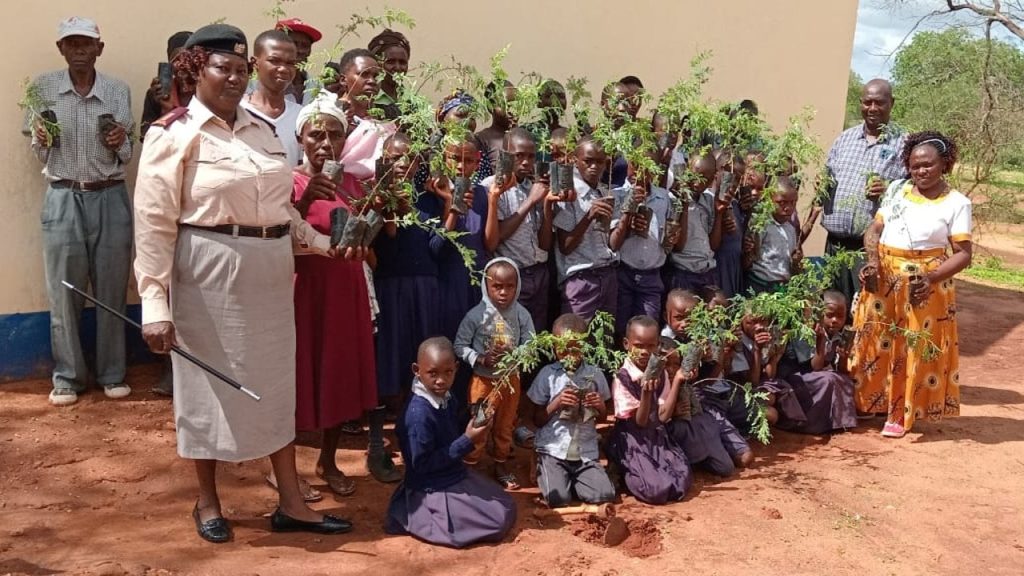 Kenya'da bir günde 100 milyon fidan dikilebilmesi için ulusal tatil ilan edildi