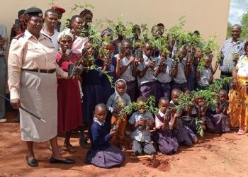 Kenya'da bir günde 100 milyon fidan dikilebilmesi için ulusal tatil ilan edildi
