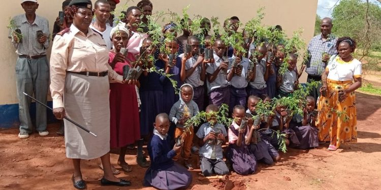 Kenya'da bir günde 100 milyon fidan dikilebilmesi için ulusal tatil ilan edildi