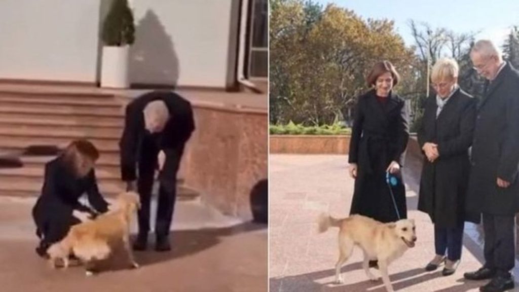 Moldova Cumhurbaşkanı Maia Sandu’nun köpeği Avusturya Cumhurbaşkanı Alexander Van der Bellen’i ısırdı