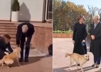 Moldova Cumhurbaşkanı Maia Sandu’nun köpeği Avusturya Cumhurbaşkanı Alexander Van der Bellen’i ısırdı