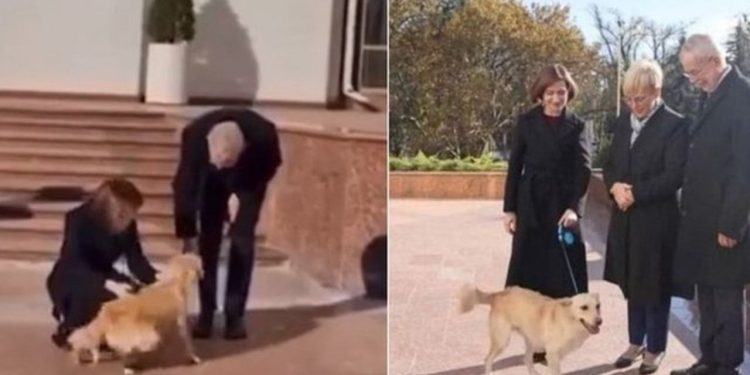Moldova Cumhurbaşkanı Maia Sandu’nun köpeği Avusturya Cumhurbaşkanı Alexander Van der Bellen’i ısırdı