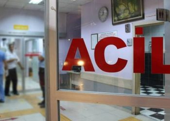 Öğretim üyesi, hobi bahçesinde ölü bulundu