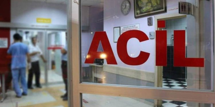 Öğretim üyesi, hobi bahçesinde ölü bulundu