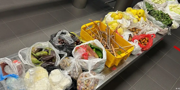 Türkiye’den getirilen yiyecekler Alman gümrüğüne takıldı