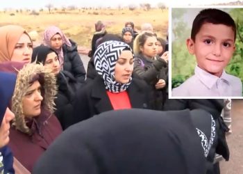 10 yaşındaki çocuğa sokak köpekleri saldırmıştı: Soruşturma açıldı