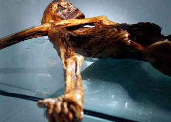 Bilim insanlarının nihayet 2023’te gizemini çözdüğü 6 olay