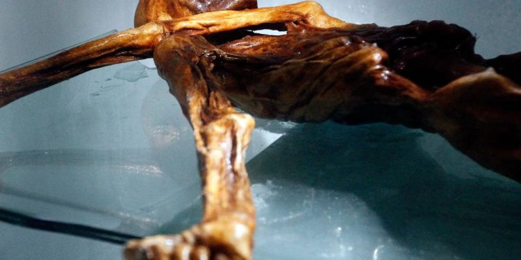 Bilim insanlarının nihayet 2023’te gizemini çözdüğü 6 olay