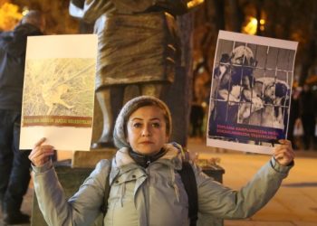 Sokak hayvanları için oturma eylemi