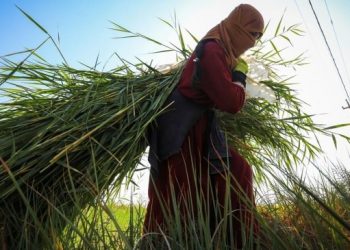 Tarımsal girdi fiyatları yüzde 40 arttı
