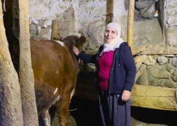 Hayvancılıkla uğraşan kadınlar için güvence istiyor