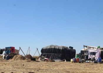 Riha’lı mevsimlik tarım işçilerinin sorunları çalıştayda masaya yatırılacak