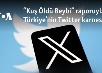 “Kuş Öldü Beybi” raporuyla Türkiye’nin Twitter karnesi