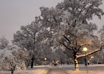 Avrupa kara teslim: Amsterdam'daki Schiphol Havalimanı'nda 150 uçuş iptal
