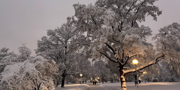 Avrupa kara teslim: Amsterdam'daki Schiphol Havalimanı'nda 150 uçuş iptal
