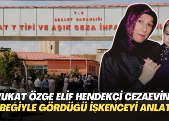 Avukat Özge Elif Hendekçi bebeğiyle cezaevinde gördüğü işkenceyi anlattı