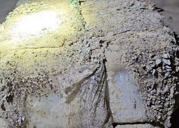 Avustralya sahillerine vuran 'tuğlalardan' 124 kilogram kokain çıktı