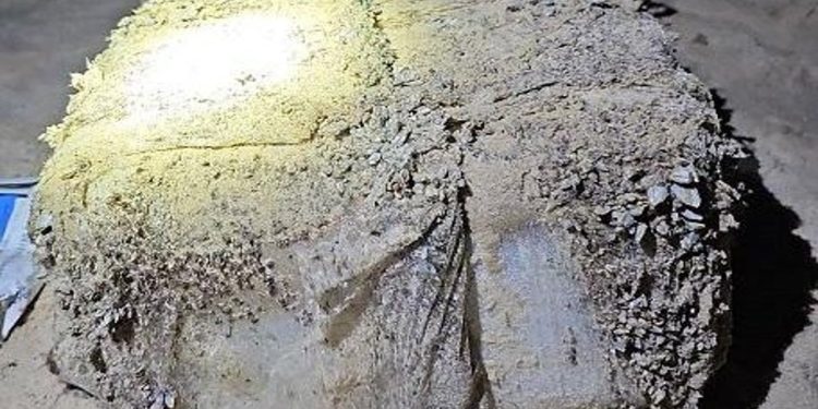 Avustralya sahillerine vuran 'tuğlalardan' 124 kilogram kokain çıktı