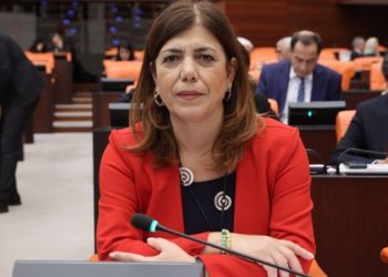 Beştaş’tan AKP’li vekile: Bölücü biz değil, sizsiniz!