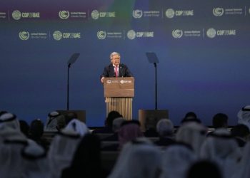 COP28: Gelişmekte olan ülkelerden iklim krizi için daha fazla çaba çağrısı