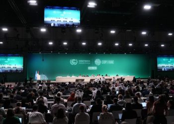 COP28: Üye ülkeler fosil yakıtlardan uzaklaşmak için ilk kez anlaşmaya vardı