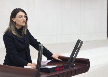 DEM Partili Demir: Kurdistan’ın ekonomik olarak geri bırakılması resmi politikadır