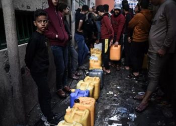 Dünya Gıda Programı: Gazze'deki kıtlık tehlikesini ortadan kaldırmanın tek yolu ateşkes