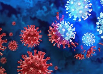 Dünya Sağlık Örgütü'nden Covid kararı!