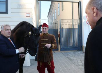 Erdoğan, Macaristan Başbakanı Orban’a Togg; Orban ise Erdoğan’a at hediye etti