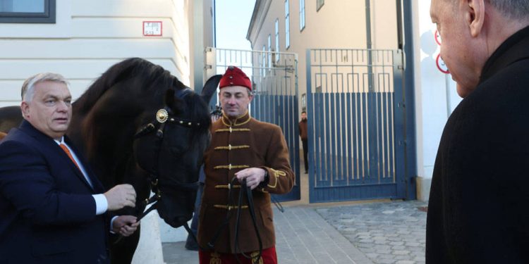 Erdoğan, Macaristan Başbakanı Orban’a Togg; Orban ise Erdoğan’a at hediye etti