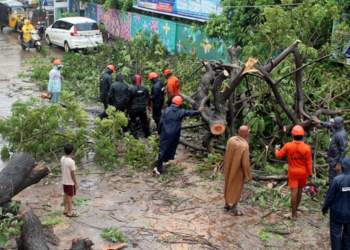 Hindistan'da fırtına 23 can aldı