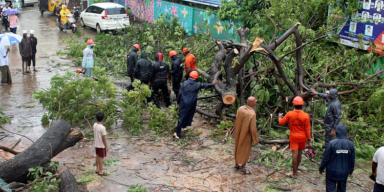 Hindistan'da fırtına 23 can aldı