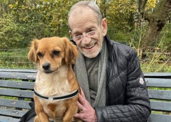 Hollanda’da bir trajedi sonrası yalnızlıkla mücadele için hangi programlar oluşturuldu?