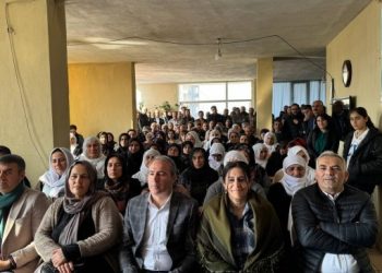 İrmez: Tecrit kaldırılmalı, başka yolu yok