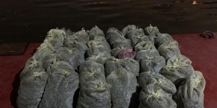 İstanbul’da 1 buçuk ton kaçak midye ele geçirildi