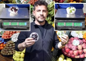 Kayseri’de erik ve kirazın fiyatı çeyrek altınla yarışıyor