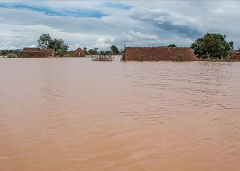 Kenya'da sel: Ölenlerin sayısı 170'e yükseldi