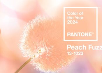 Pantone 2024’ün rengini belirledi