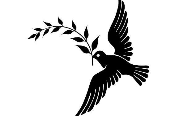 Safa Kar yazdı… Hakeme yumruk, Türk futbolu nakavt