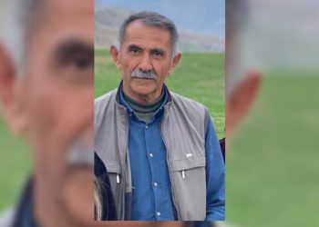 Şırnak’ta aracı taranan DEM Parti yöneticisi hayatını kaybetti