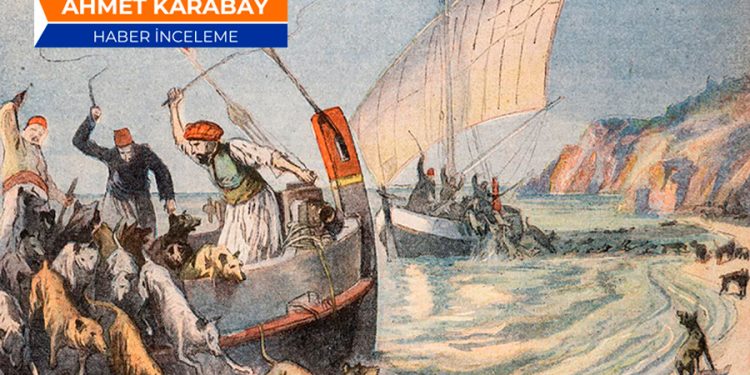 Sokak köpekleri bugün tartışmanın odağında, ya Osmanlı’da nasıldı?