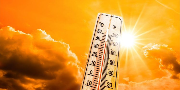 Son 53 yılın en sıcak kasım ayı yaşandı