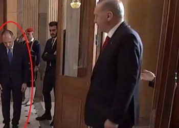 Tepki gösterilen Yunan bakan: Erdoğan'ın değil cumhurbaşkanının önünde eğildim