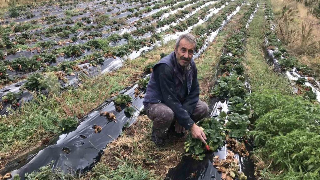 Uzun bir süredir isteniyordu artık hasatta verim daha da artacak