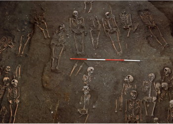 Wat, Dickon, Christiana… 500 iskelet incelendi, Cambridge’in Kara Ölüm tarihi yazıldı